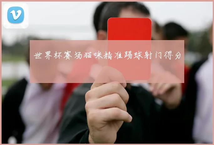 世界杯赛场猫咪精准踢球射门得分