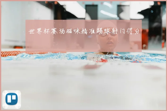 世界杯赛场猫咪精准踢球射门得分