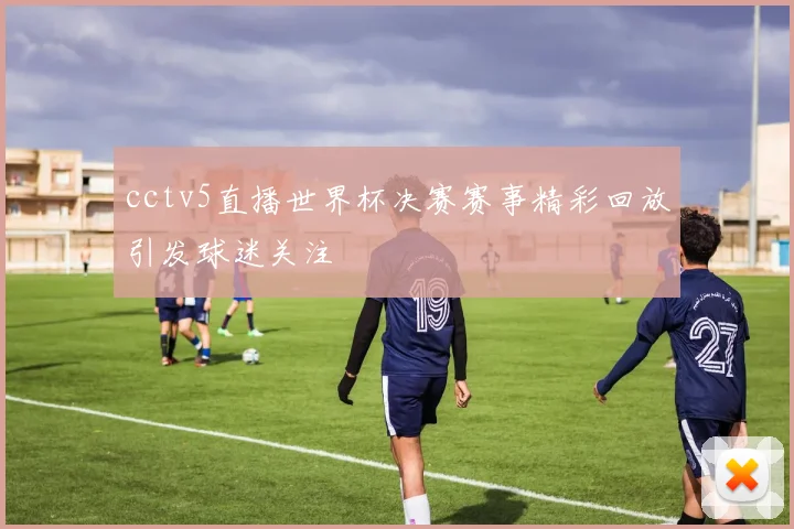 cctv5直播世界杯决赛赛事精彩回放引发球迷关注