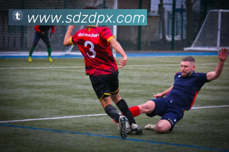 云顶集团官方入口平台生态图