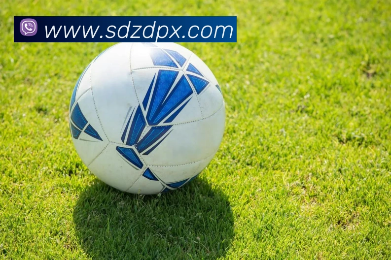 云顶集团官方入口APP 封面图